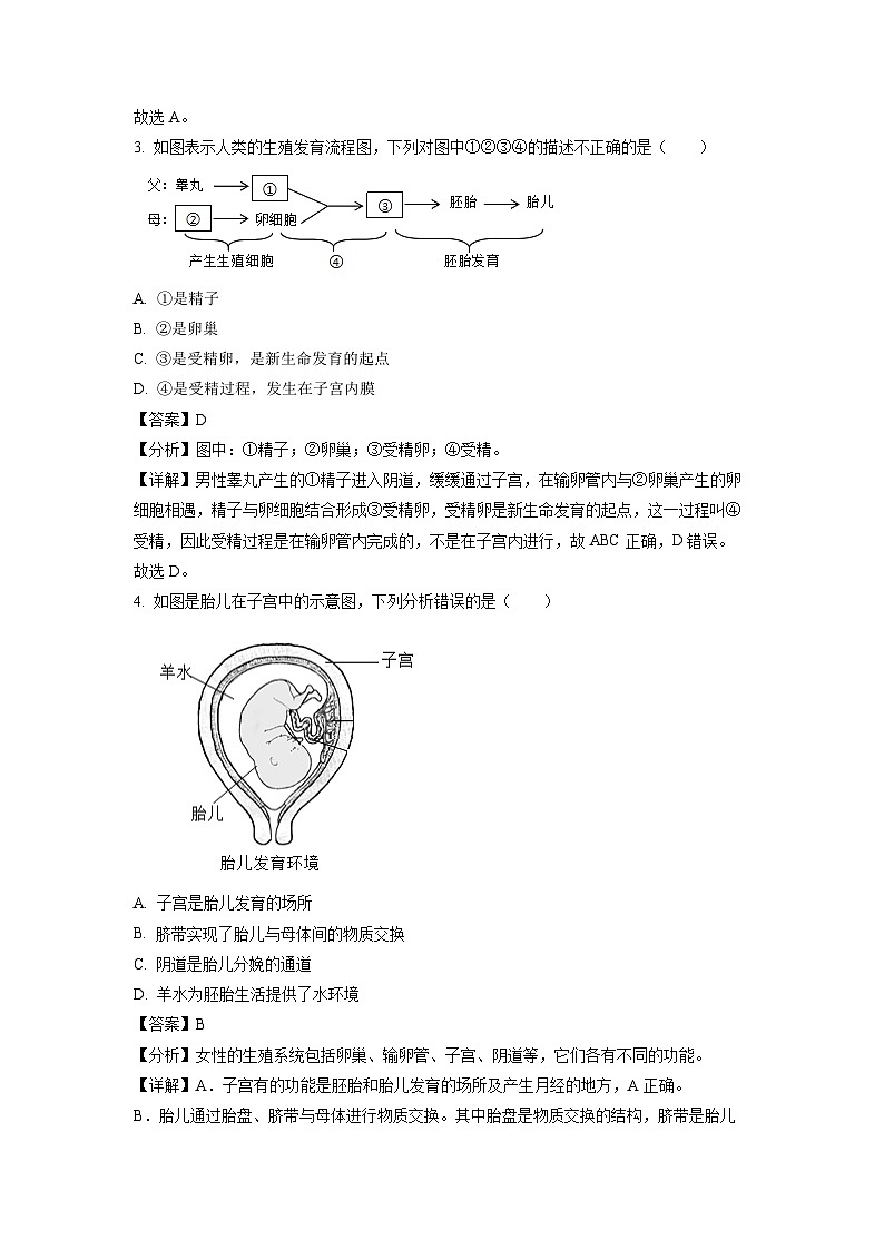 河南省信阳市潢川县2023-2024学年七年级下学期期中生物试卷（解析版）02