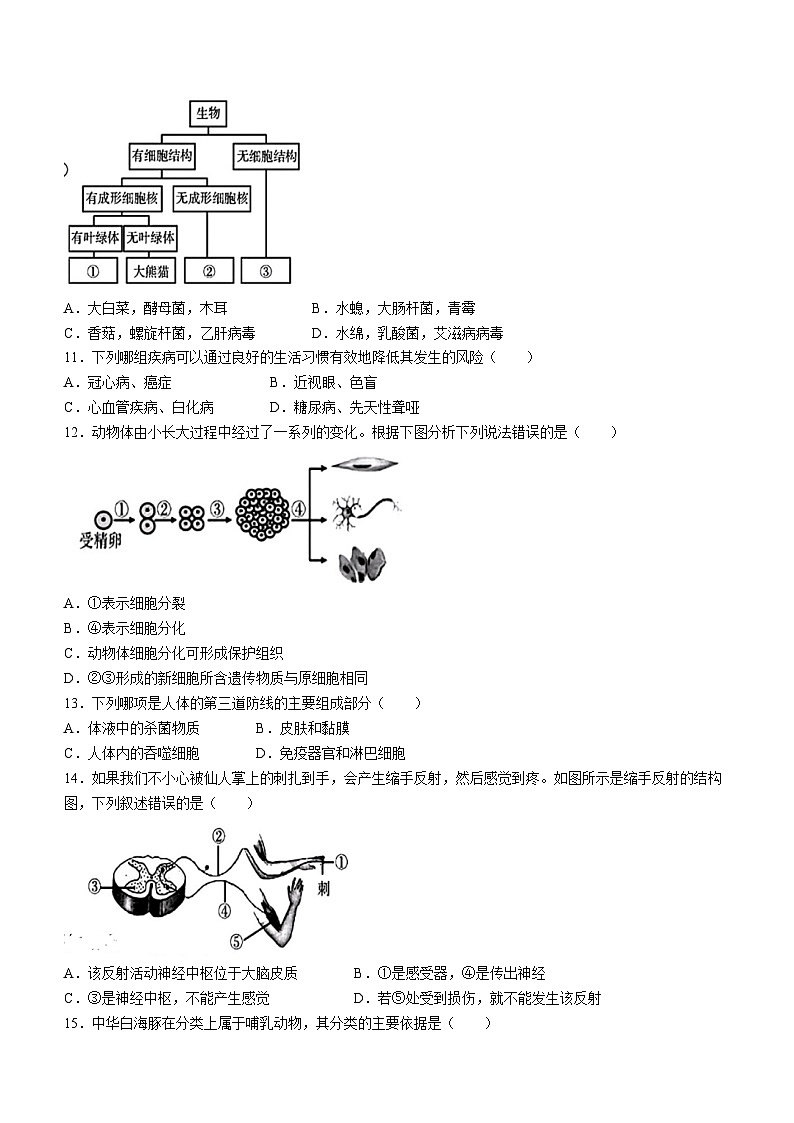 2024年安徽省宿迁市泗阳县中考三模考试生物试题第3页