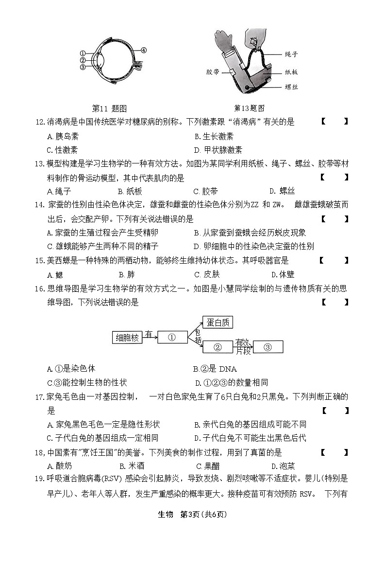 2024年河南省驻马店市经济开发区中考二模生物试题03