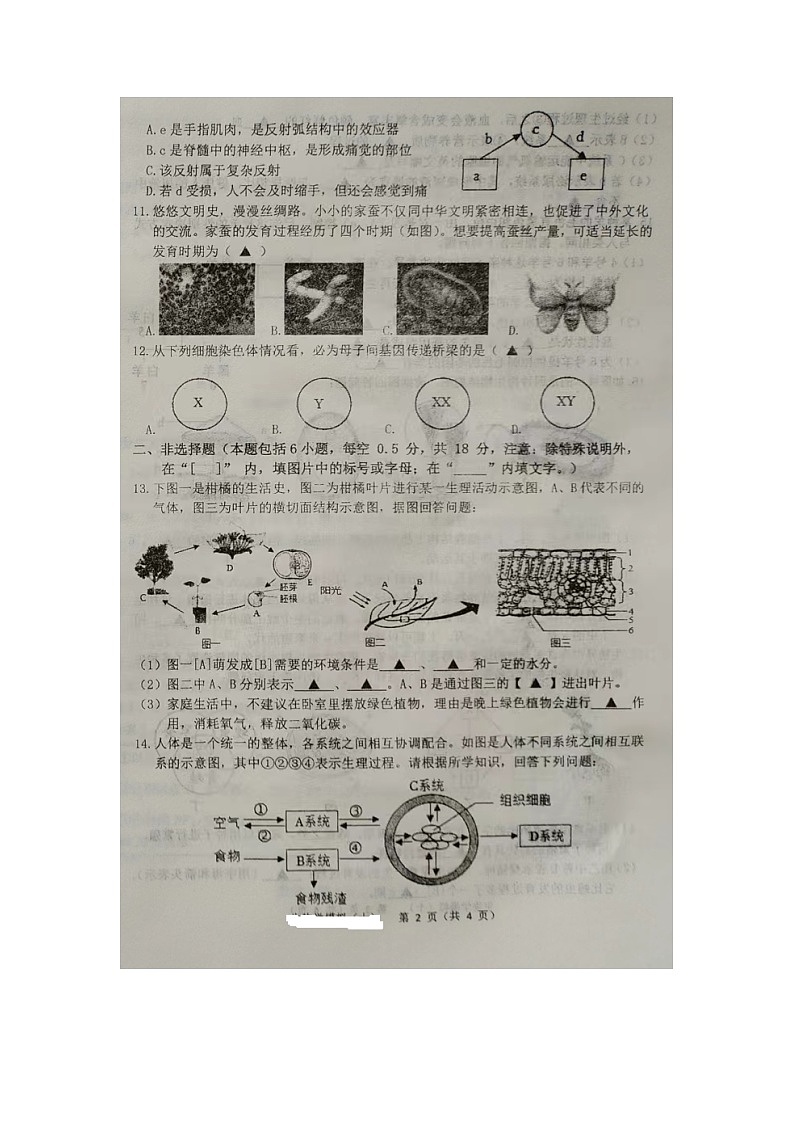 2024年辽宁省辽阳市中考第二次模拟考试生物学试题02