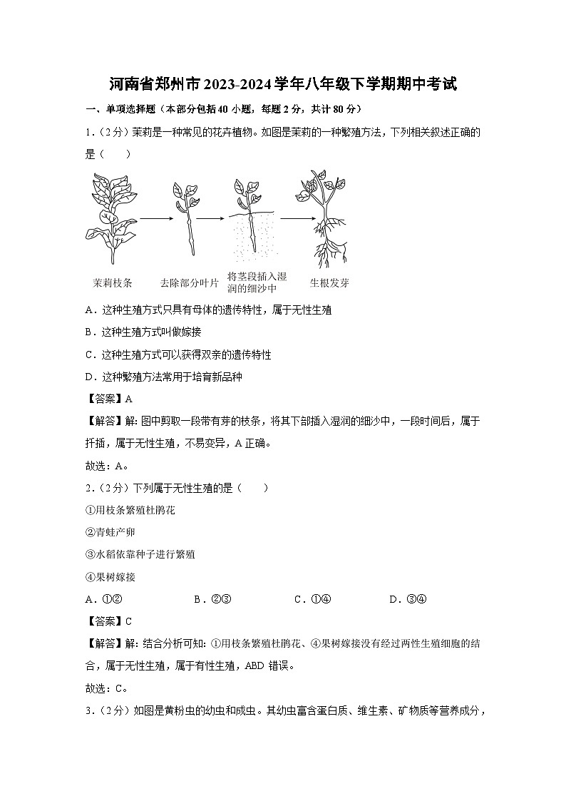 河南省郑州市2023-2024学年八年级下学期期中考试生物试卷（解析版）第1页