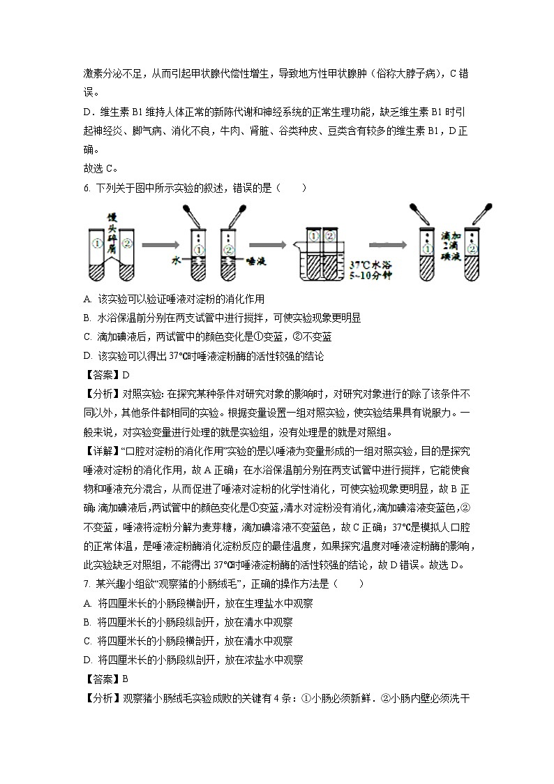 山东省枣庄市峄城区匡衡中学2023-2024学年七年级下学期4月月考生物试卷（解析版）03