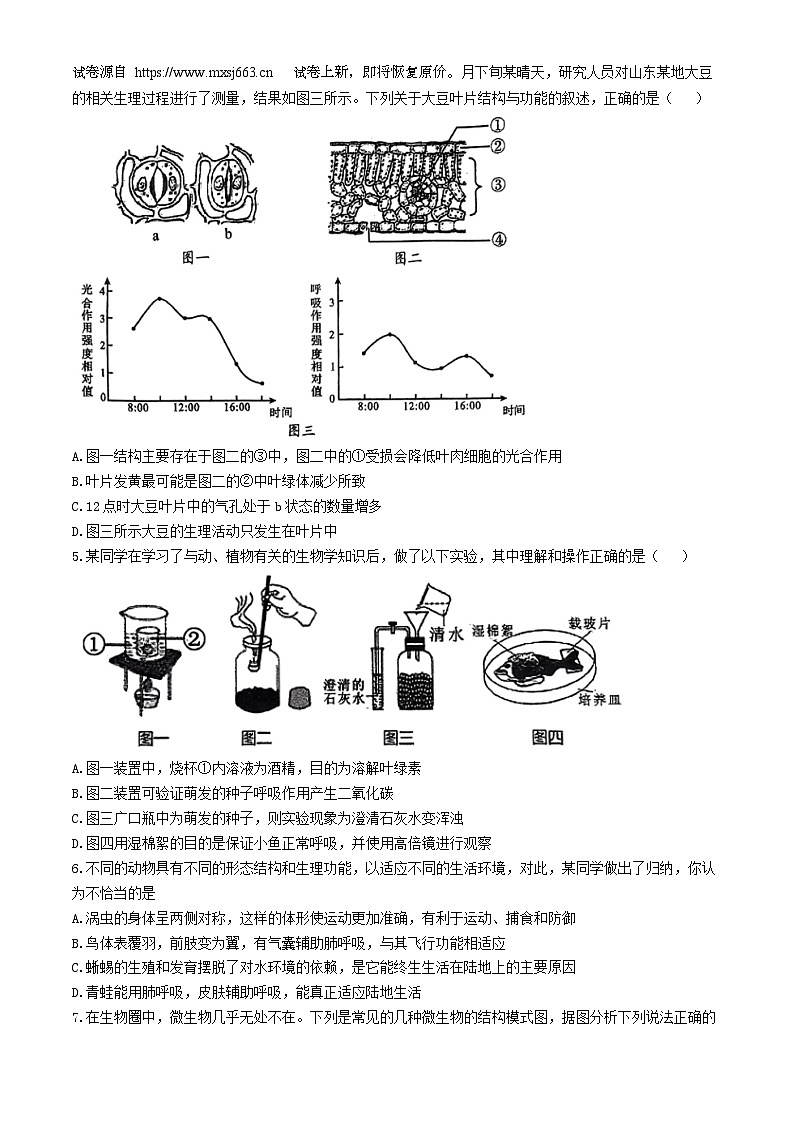03，2024年山东省菏泽市郓城县中考三模考试生物试题(无答案)02