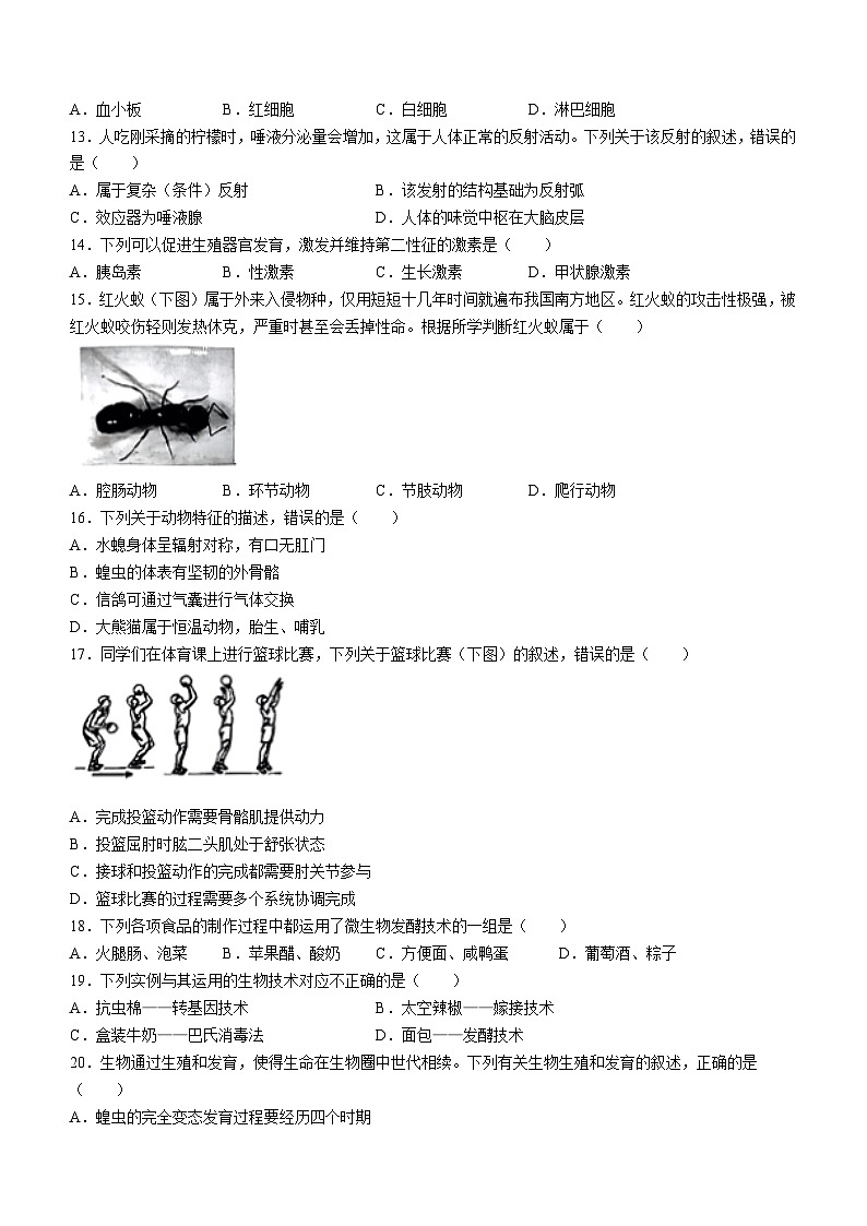 04，2024年湖南省衡阳市衡南县部分学校中考二模考试生物试题03