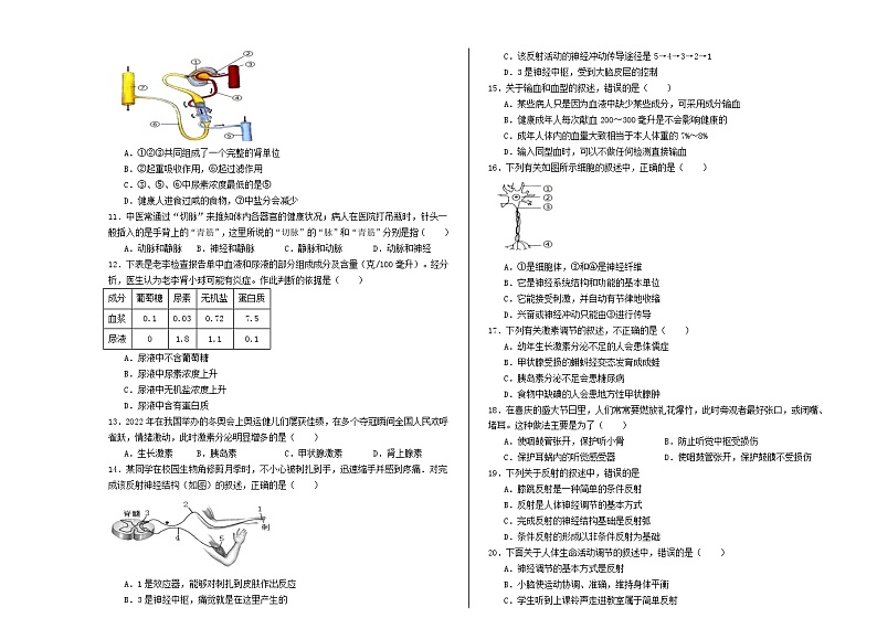 07，山东省聊城北大培文等多校联合2023-2024学年七年级下学期5月月考生物试题第2页