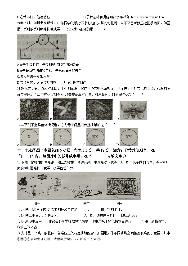 08，2024年辽宁省辽阳市中考第二次模拟考试生物学试题02