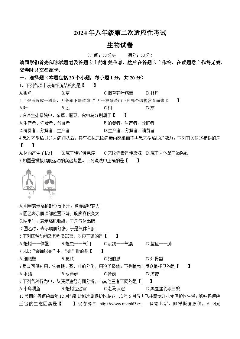 12，2024年河南省商丘市夏邑县八年级中考二模生物试题(无答案)01