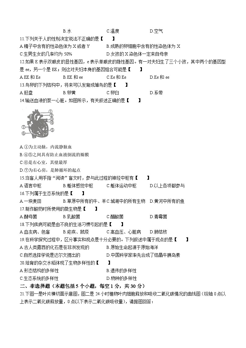 12，2024年河南省商丘市夏邑县八年级中考二模生物试题(无答案)02