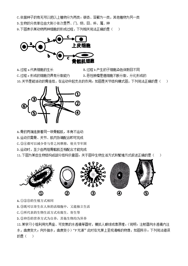 12，山东枣庄薛城区奚仲中学等五校2023-2024学年八年级下学期联考月考生物试题(无答案)第3页