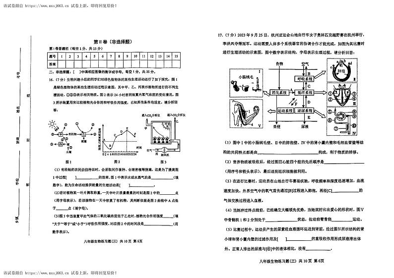 13，2024年山东省泰安市中考三模生物试题03