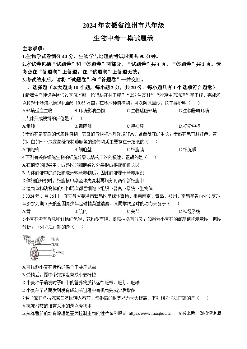 19，2024年安徽省池州市八年级中考一模生物试题第1页