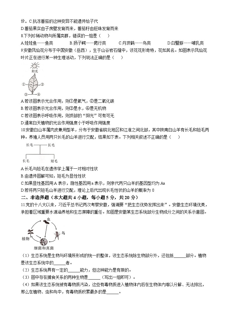 19，2024年安徽省池州市八年级中考一模生物试题第2页