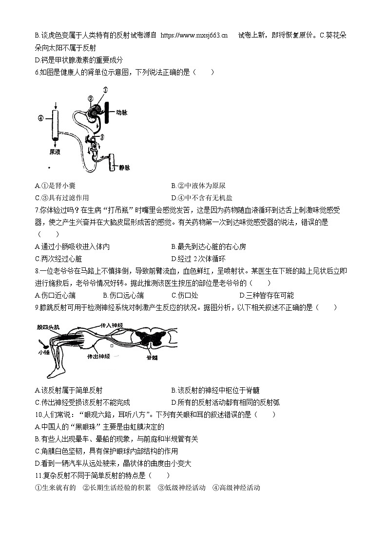24，山东省日照市东港区新营中学2023-2024学年七年级下学期期中考试生物试题(无答案)第2页