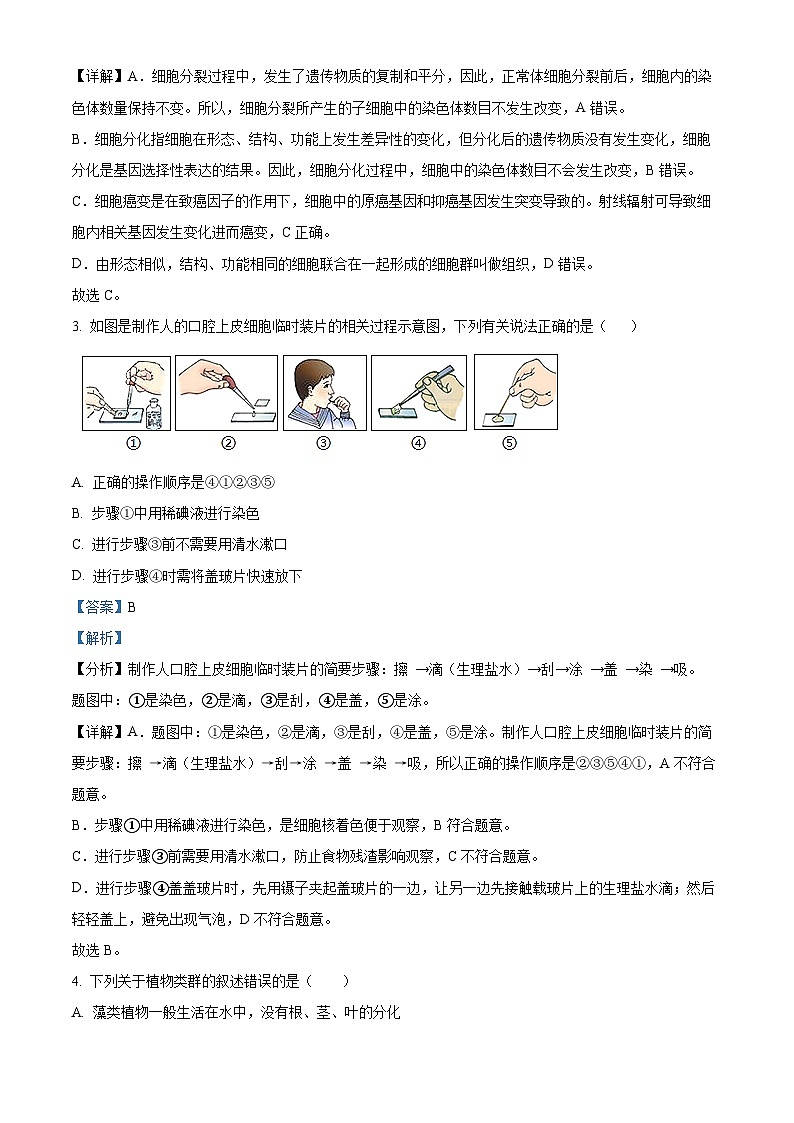 2024年山东省德州市平原县中考二模生物试题（教师版）第2页