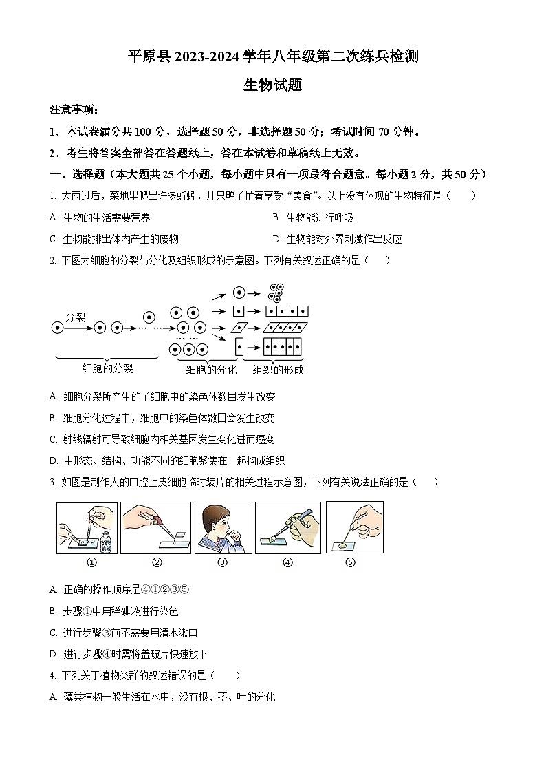 2024年山东省德州市平原县中考二模生物试题（学生版）第1页