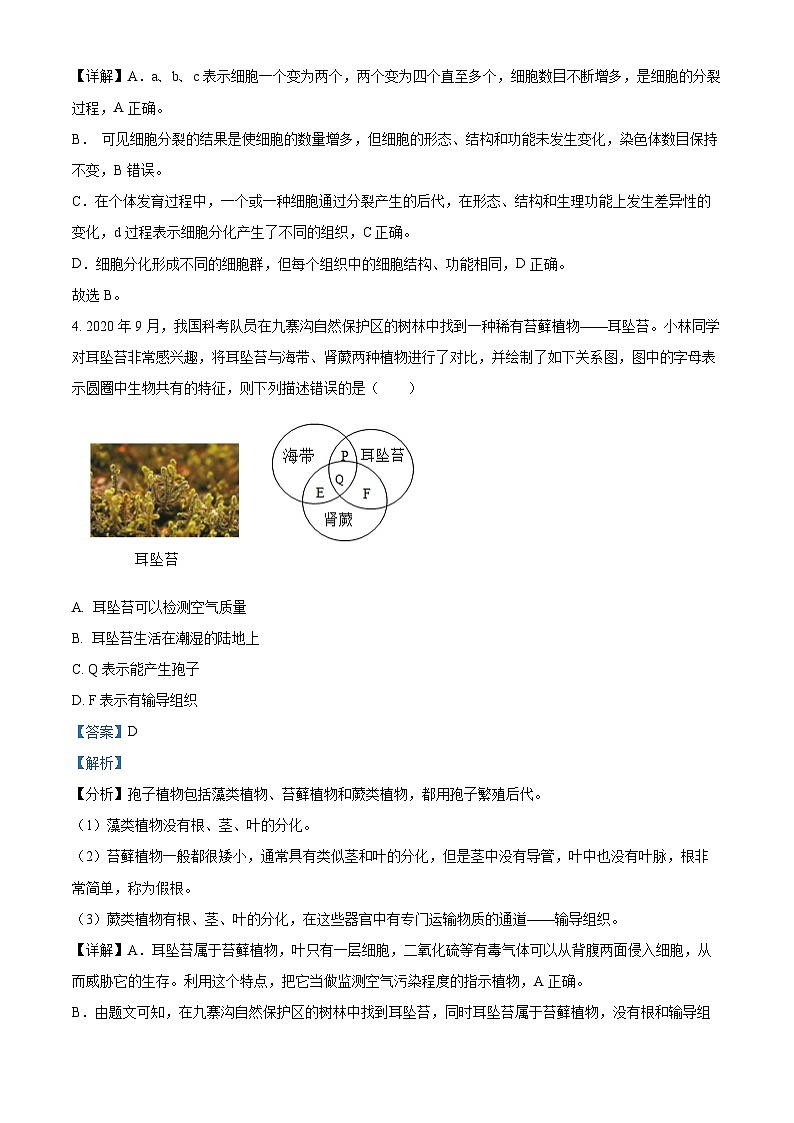 2024年湖南省常宁市中考三模生物试题（教师版）第3页