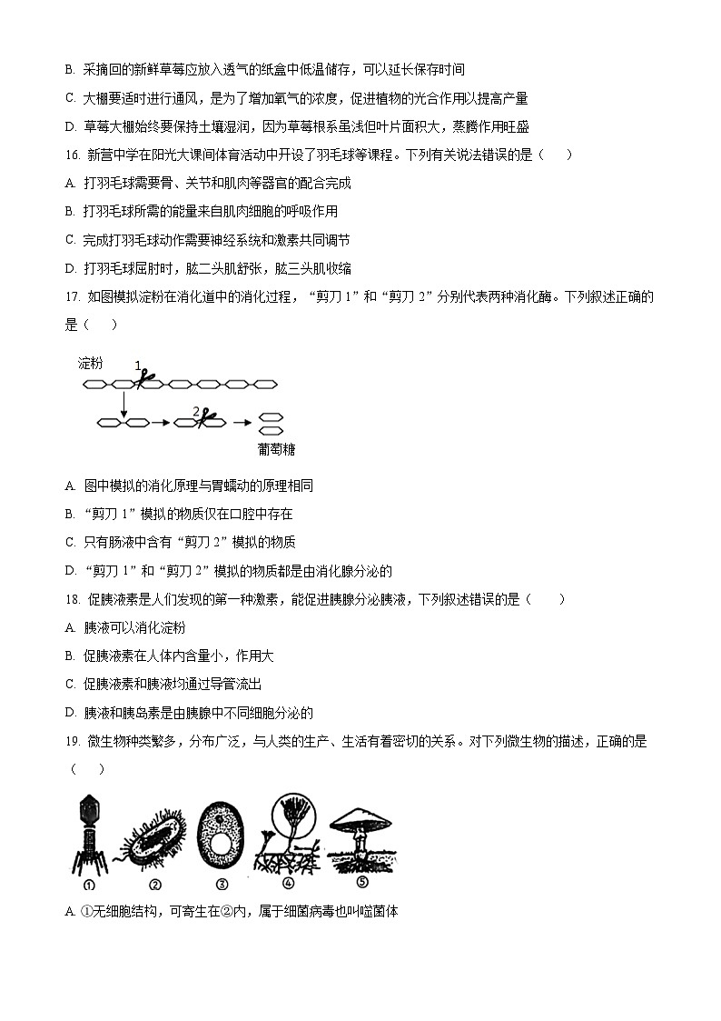 2024年山东省日照市新营中学中考二模生物试题（学生版+教师版）03