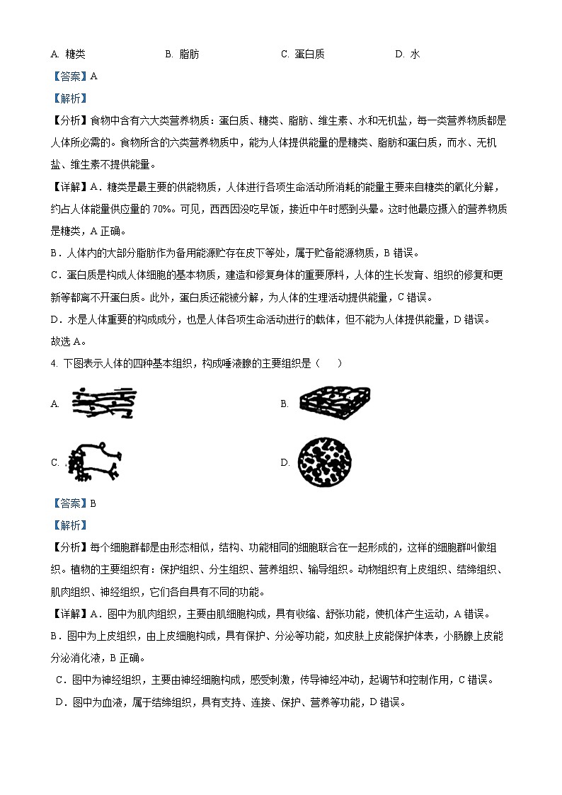 2024年山东省日照市新营中学中考二模生物试题（学生版+教师版）02