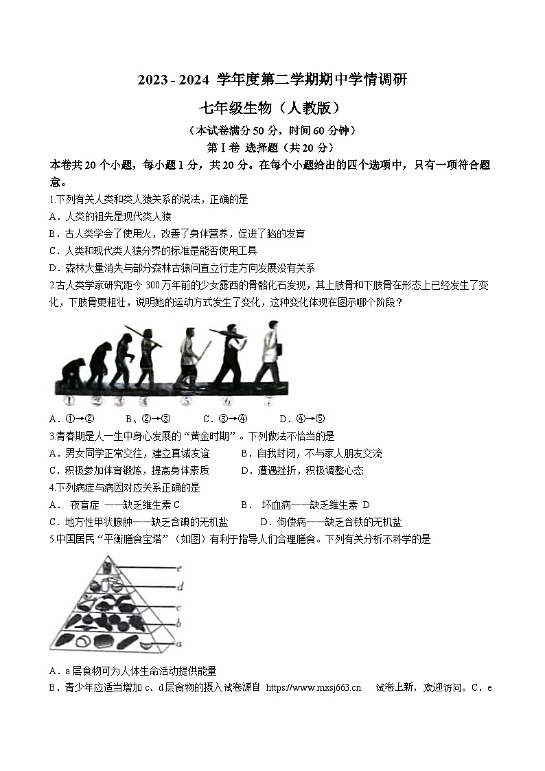13，山西省忻州市静乐县第二中学2023-2024学年七年级下学期期中生物试题(无答案)01