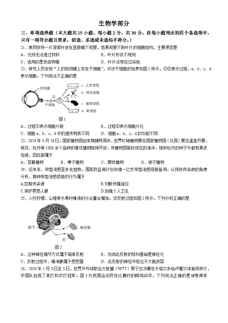 19，2024年广西南宁市西乡塘区初中毕业班中考适应性测试生物试题(无答案)第1页