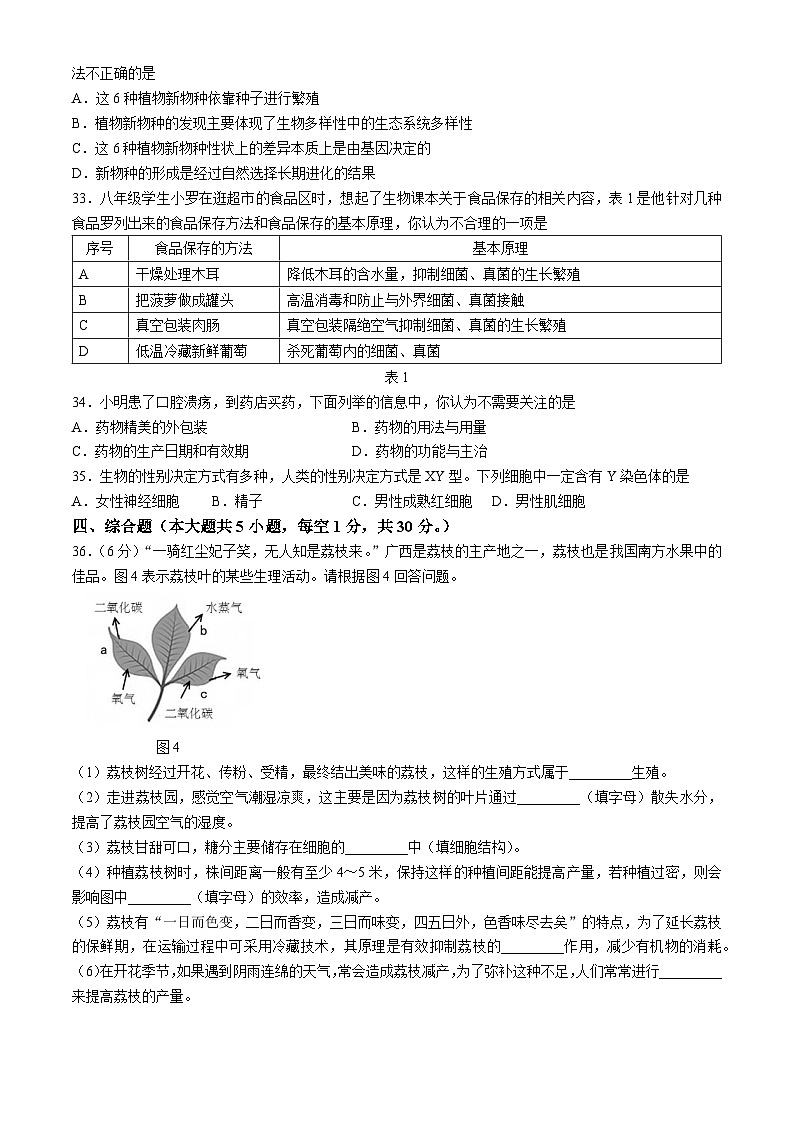 19，2024年广西南宁市西乡塘区初中毕业班中考适应性测试生物试题(无答案)第3页