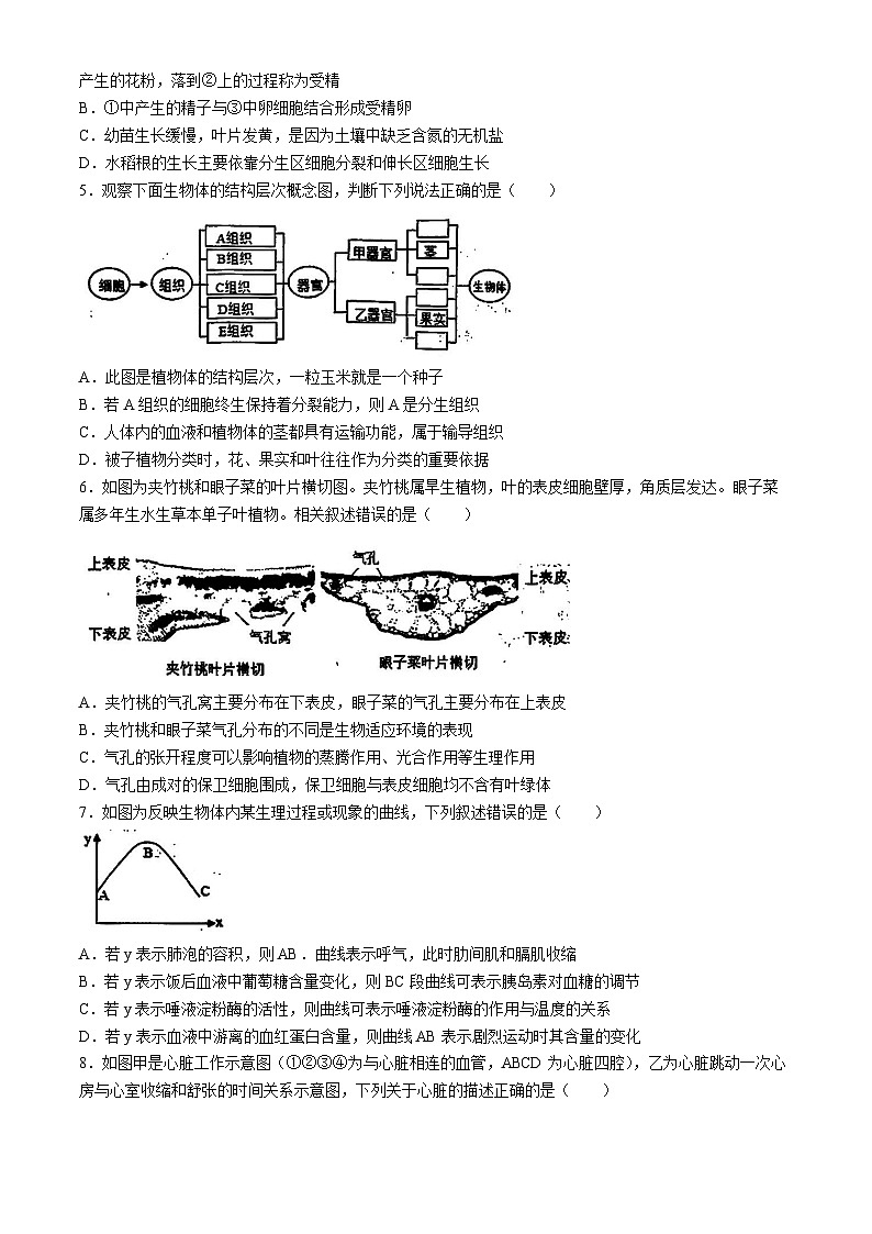 20，2024年山东省泰安市中考三模生物试题02