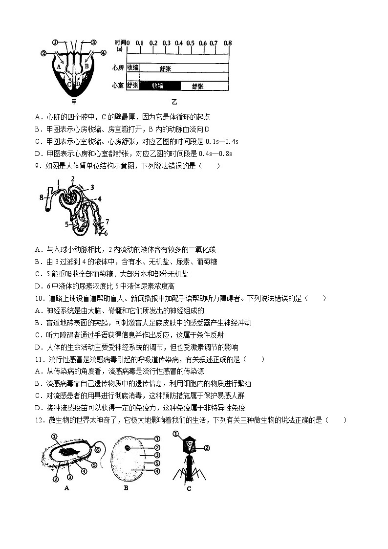 20，2024年山东省泰安市中考三模生物试题03