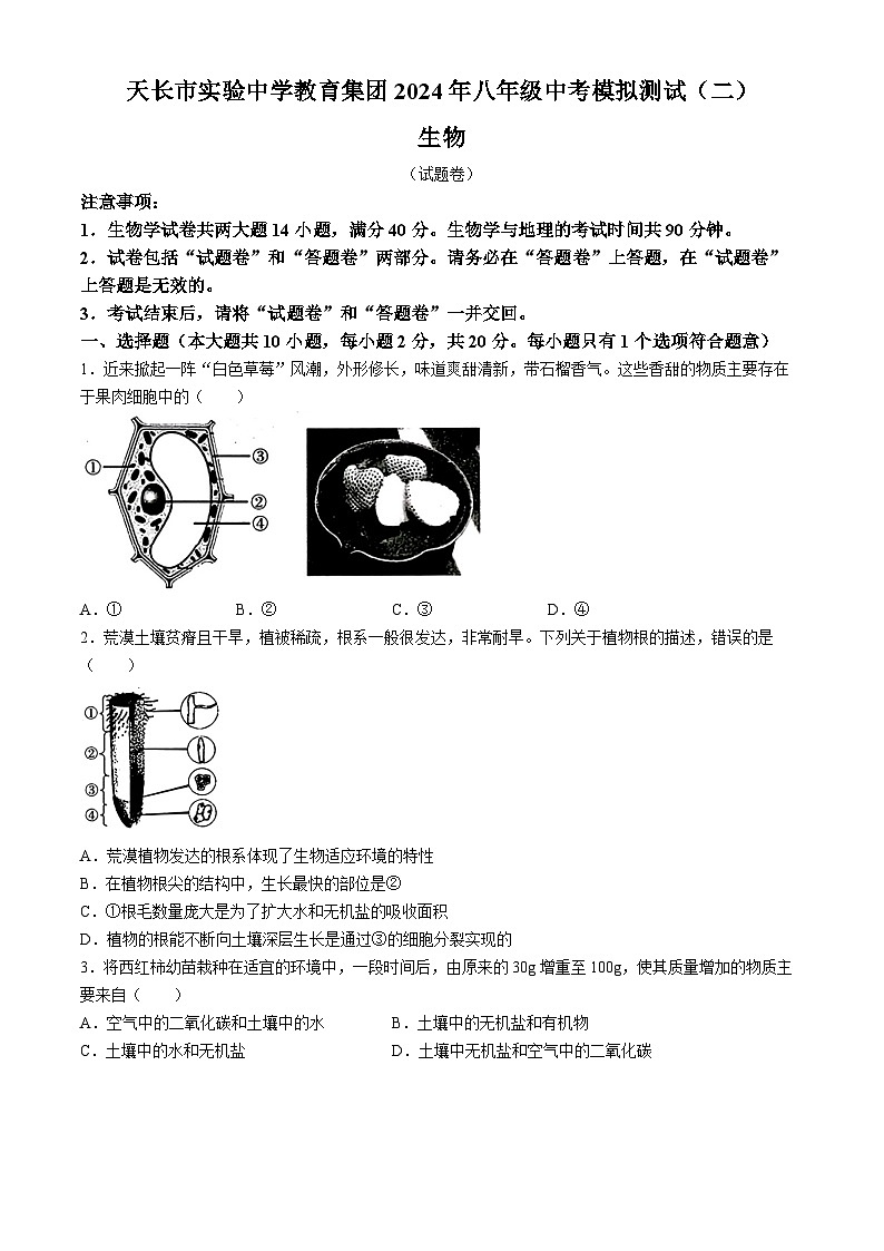21，2024年安徽省滁州市天长市实验中学教育集团八年级中考二模生物试题01