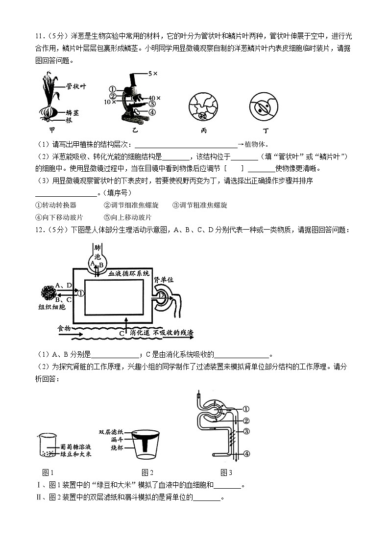 21，2024年安徽省滁州市天长市实验中学教育集团八年级中考二模生物试题03