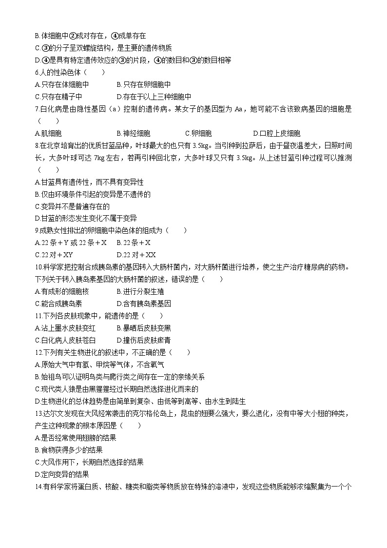 09，广东省深圳市龙华区万安学校2023-2024学年七年级下学期5月月考生物试题(无答案)02