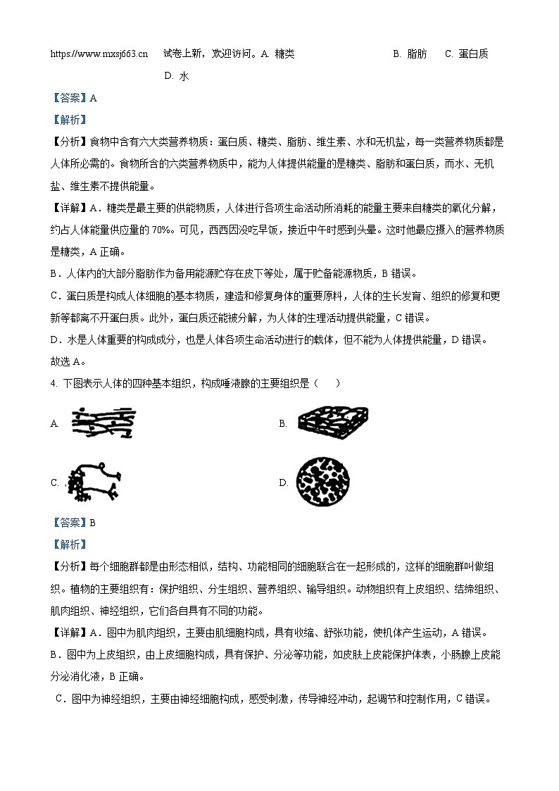 10，2024年山东省日照市新营中学中考二模生物试题02