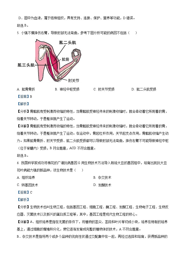 10，2024年山东省日照市新营中学中考二模生物试题03