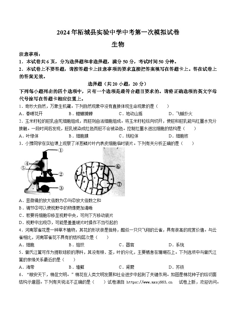 12，2024年河南省商丘市柘城县实验中学八年级中考第一次模拟生物试题01