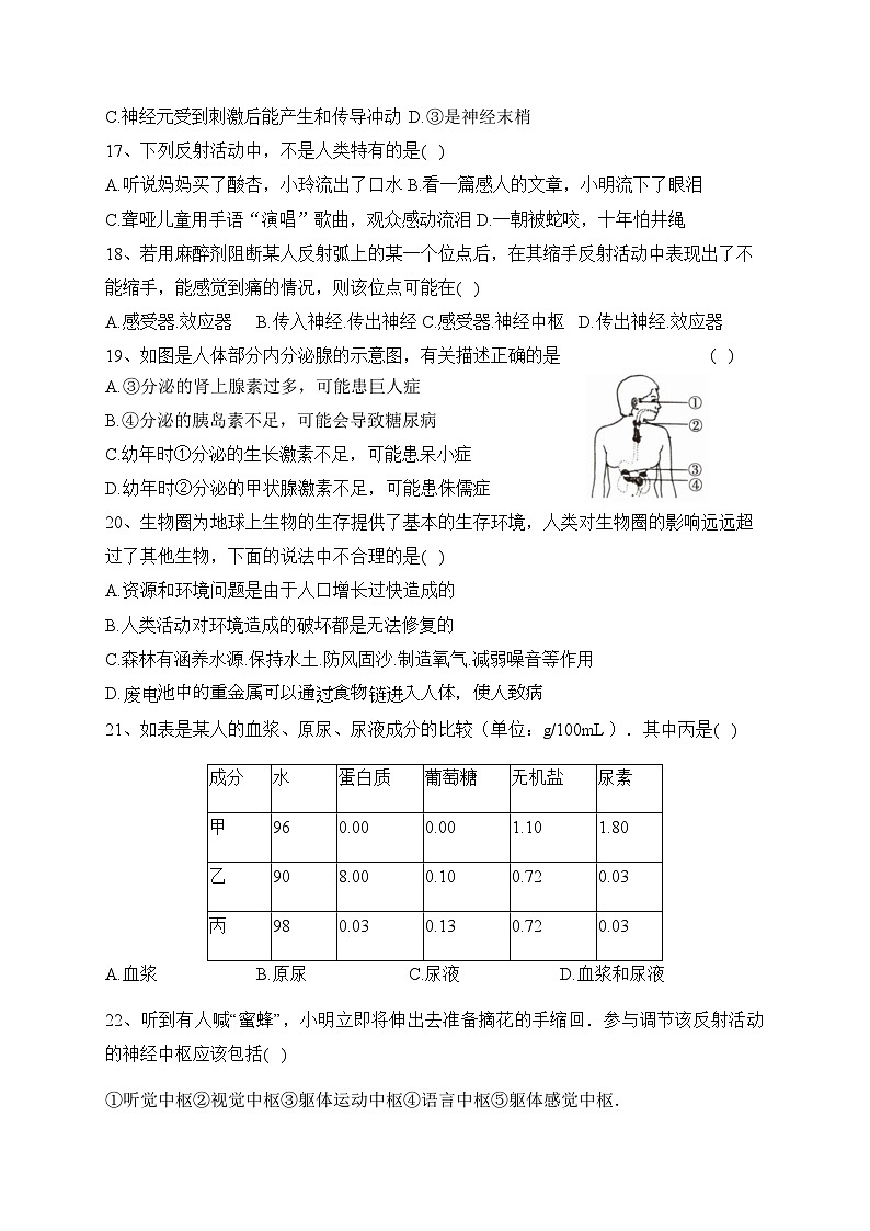 16，河南省南阳市内乡县赵店初级中学2023-2024学年七年级下学期5月月考生物试题第3页