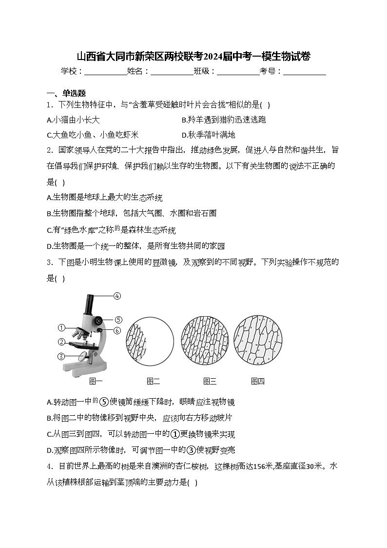 山西省大同市新荣区两校联考2024届中考一模生物试卷(含答案)01