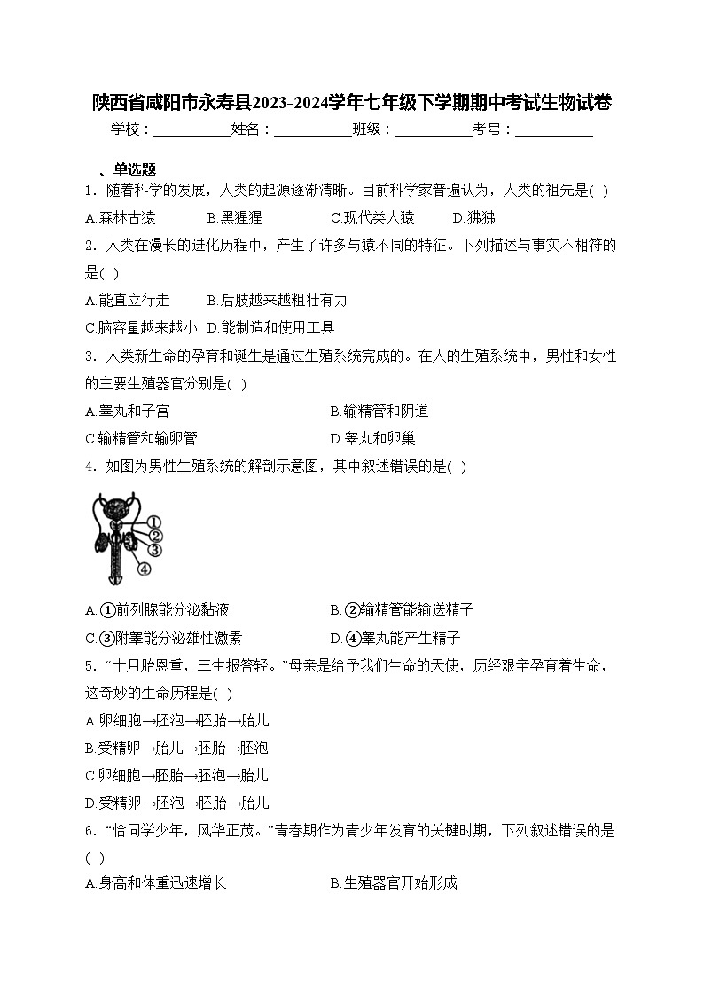 陕西省咸阳市永寿县2023-2024学年七年级下学期期中考试生物试卷(含答案)01