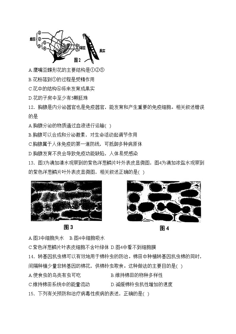 江苏省南通市海安市2024届九年级下学期学业质量监测生物试卷(含答案)第3页