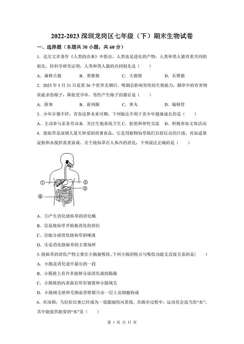 2022-2023学年深圳市龙岗区七年级下学期末生物试卷01