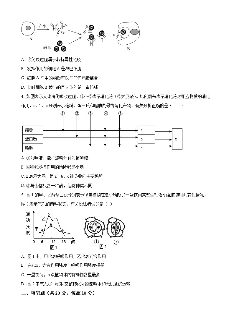 2024年内蒙古呼伦贝尔市阿荣旗八年级中考二模生物试题（学生版+教师版）02
