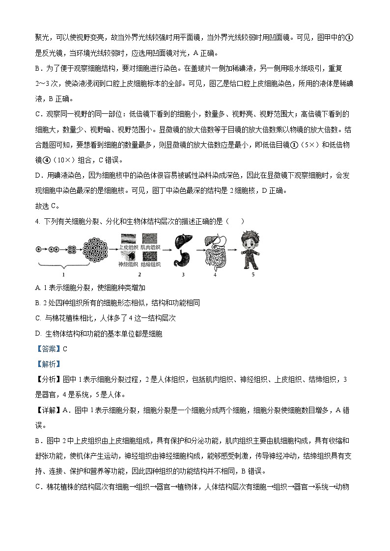 2024年山东省临沂市临沭县中考二模生物试题（学生版+教师版）03