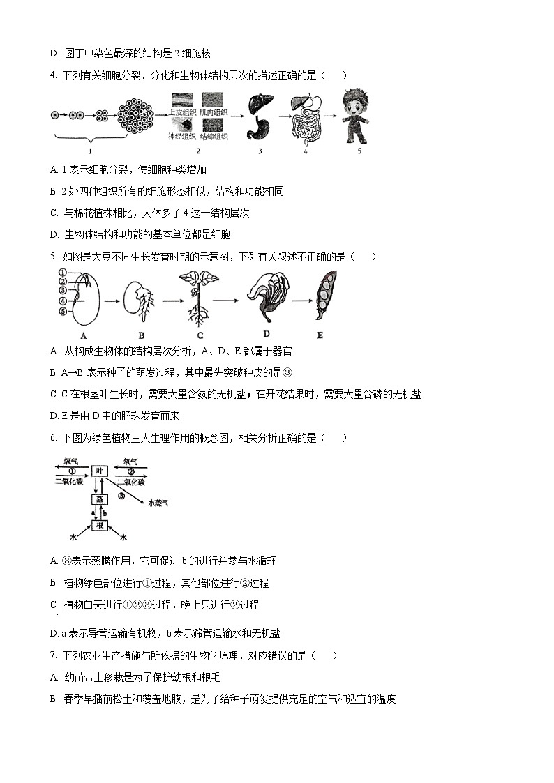 2024年山东省临沂市临沭县中考二模生物试题（学生版+教师版）02