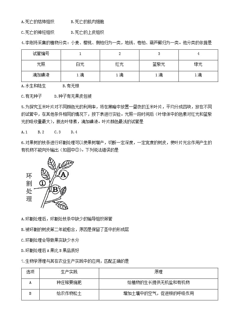 2024年山东省枣庄市峄城区中考三模生物试卷(无答案)第2页