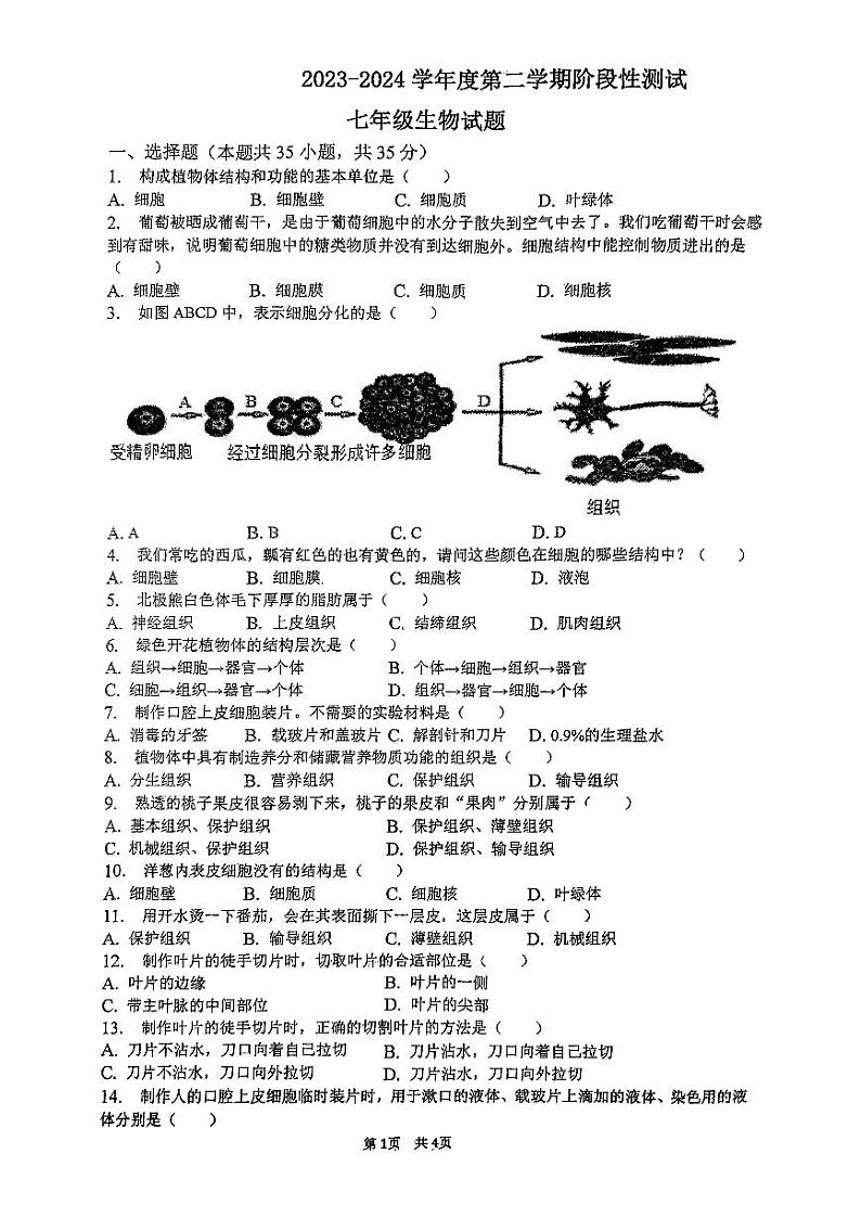 江苏省连云港市东海县2023-2024学年七年级下学期月考生物试题第1页