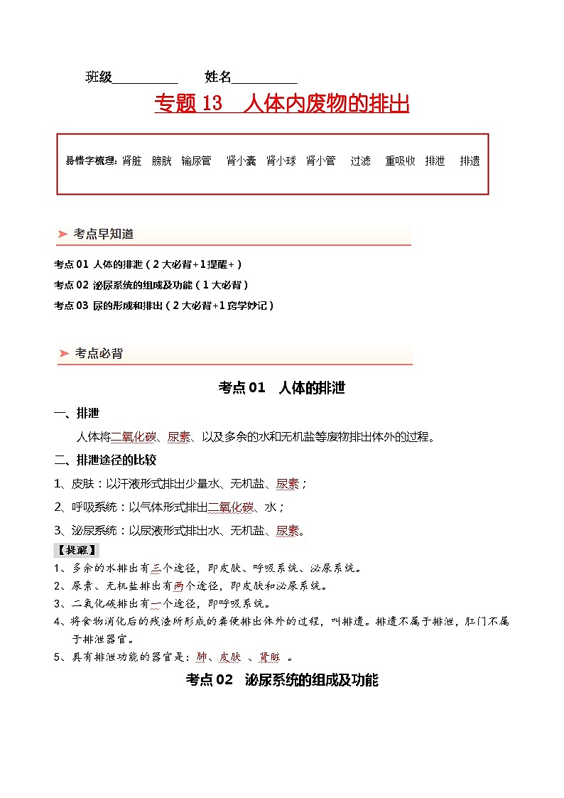 专题13 人体内废物的排出-备战2024年中考生物一轮复习考点帮01