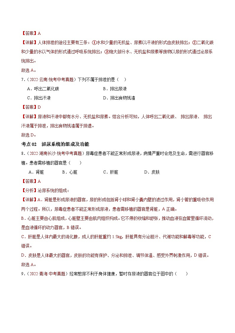 专题13 人体内废物的排出-备战2024年中考生物一轮复习考点帮（全国通用）第3页