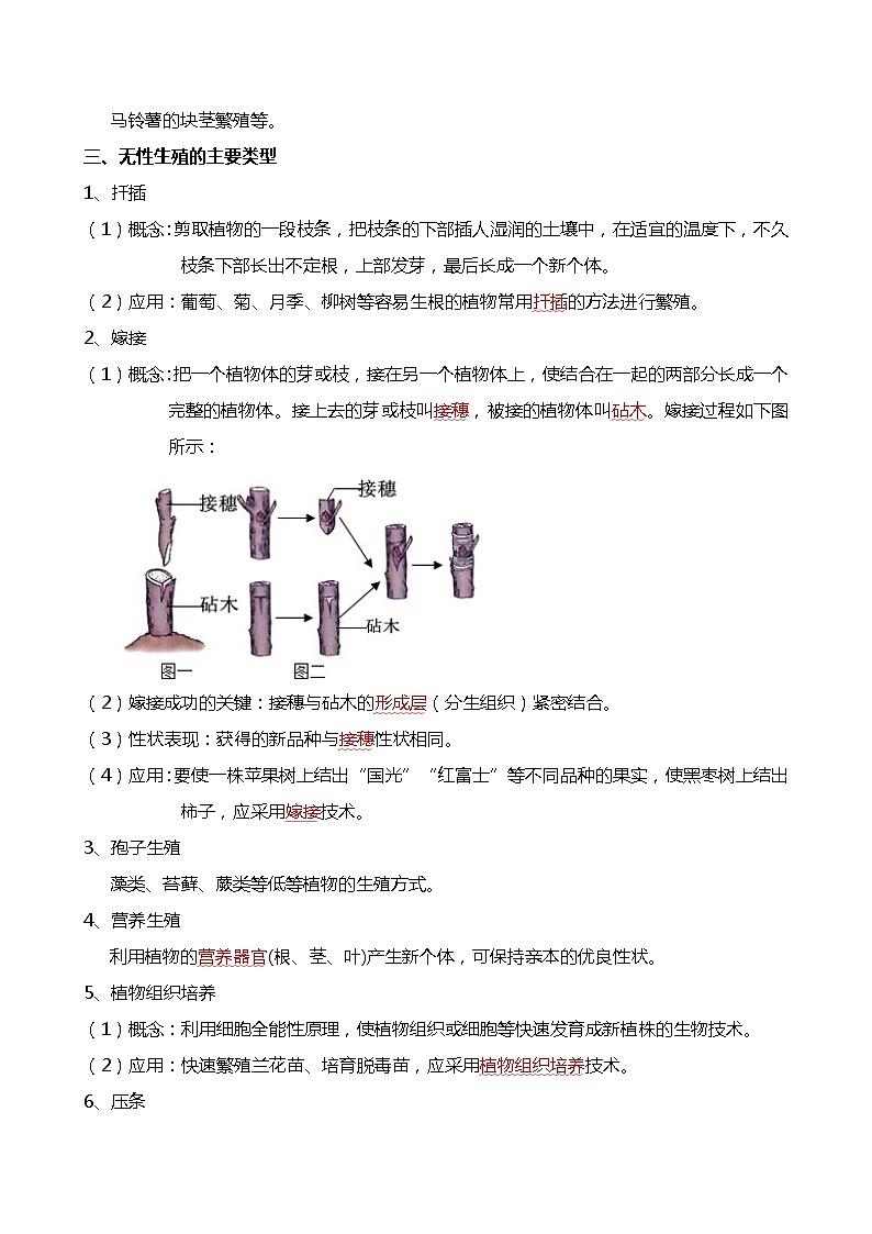 专题20 生物的生殖和发育-备战2024年中考生物一轮复习考点帮02