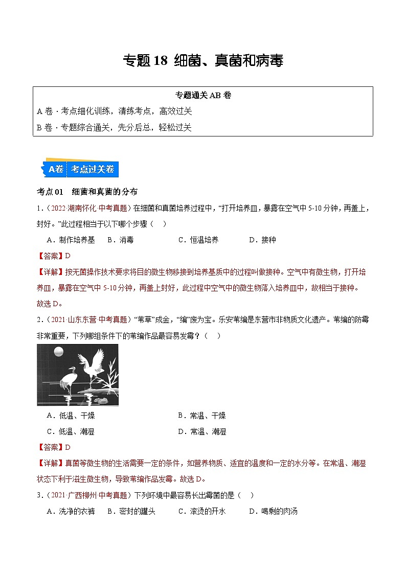 专题18 细菌、真菌和病毒-备战2024年中考生物一轮复习考点帮（全国通用）01