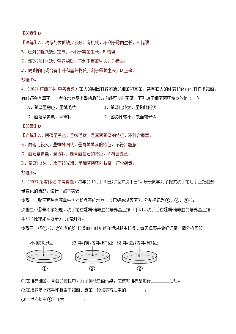 专题18 细菌、真菌和病毒-备战2024年中考生物一轮复习考点帮（全国通用）02