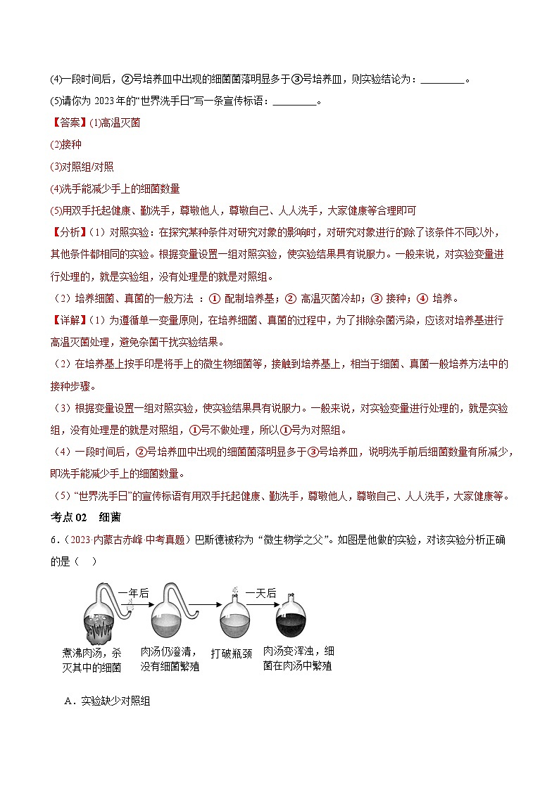 专题18 细菌、真菌和病毒-备战2024年中考生物一轮复习考点帮（全国通用）03