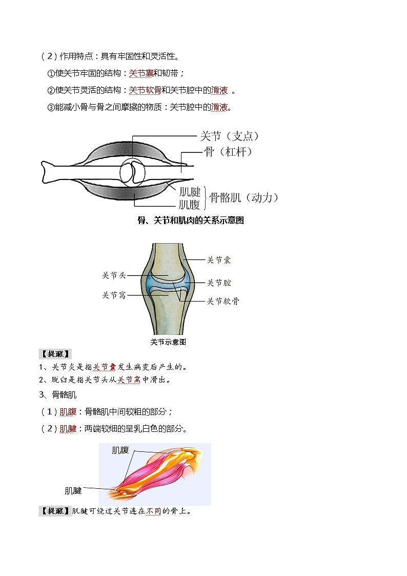 专题17 动物的运动和行为+动物在生物圈中的作用-备战2024年中考生物一轮复习考点帮第2页